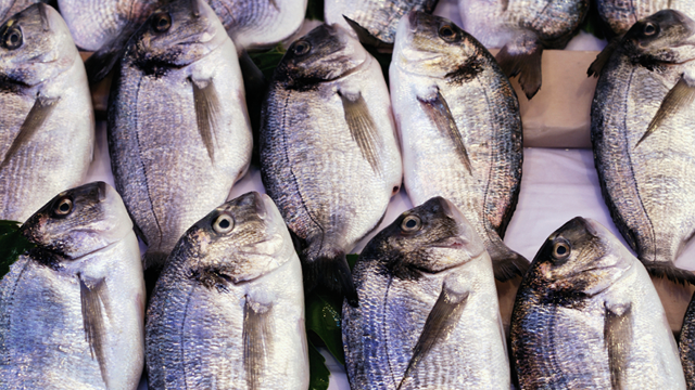 Marine refrigeration 640x360