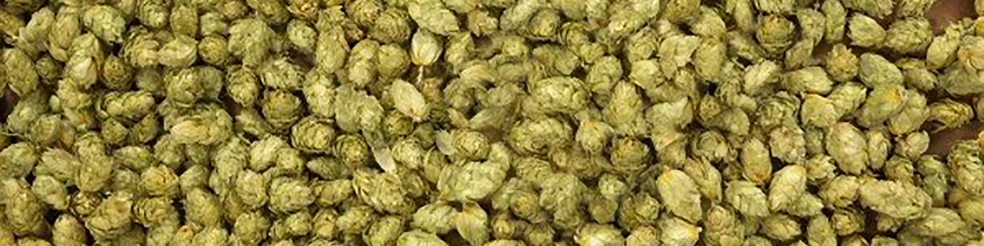 hops3 1920 x 480
